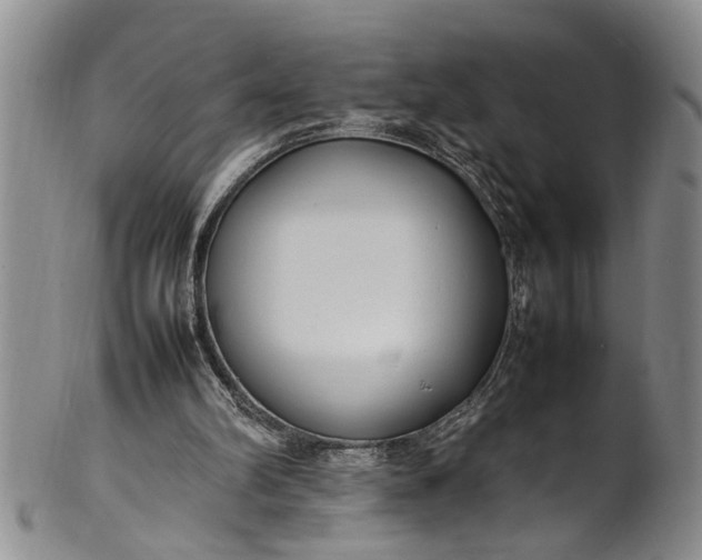 X0000102250102200808081419