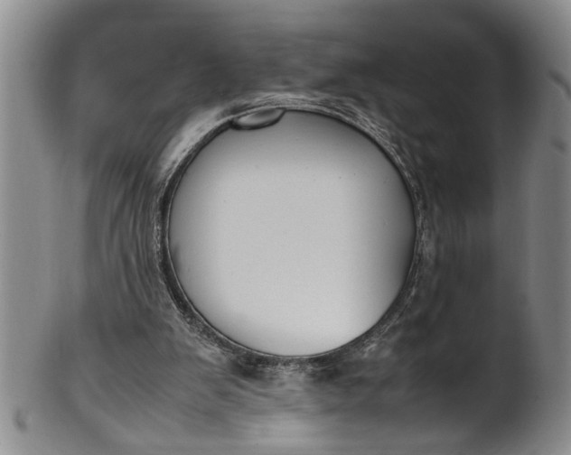 X0000102250103200808081419