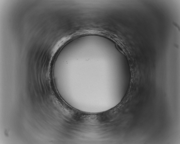 X0000102250104200808081419