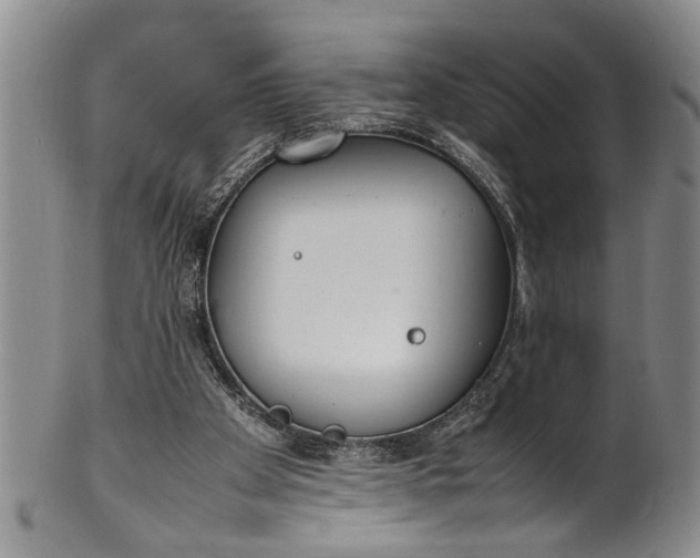 X0000102250105200808081419