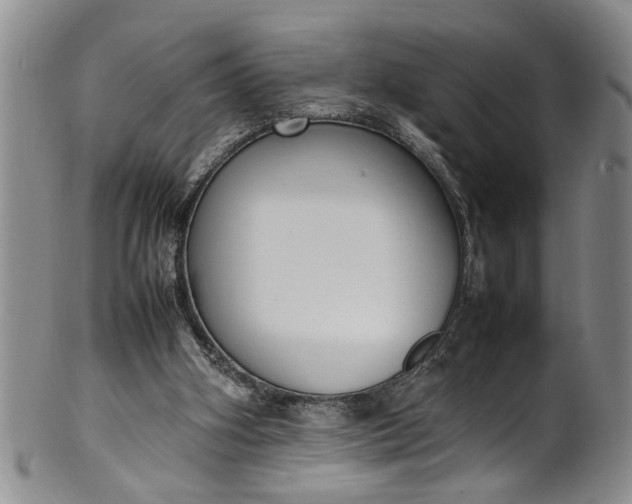 X0000102250106200808081419