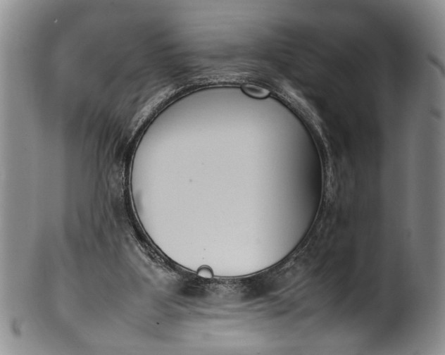 X0000102250107200808081419