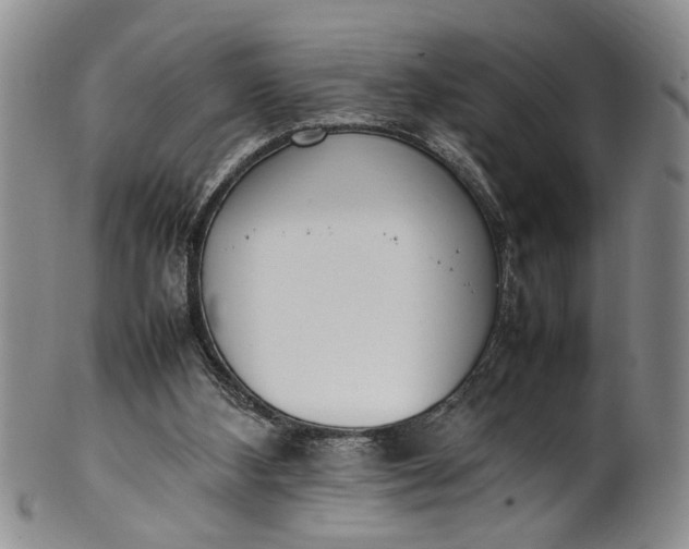 X0000102250108200808081419