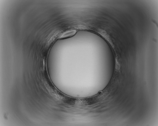 X0000102250109200808081419