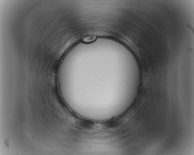 X0000102250111200808081419