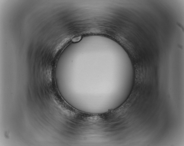 X0000102250112200808081419