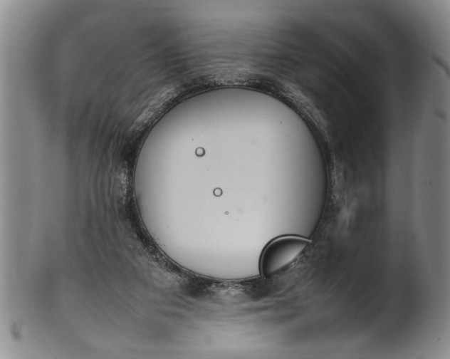 X0000102250113200808081419