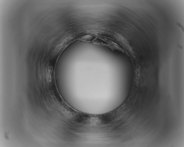 X0000102250114200808081419