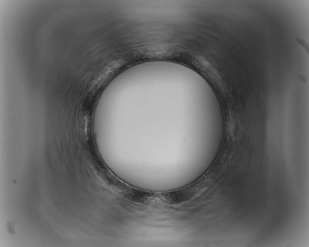 X0000102250115200808081419