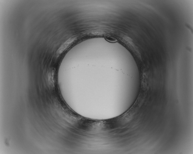 X0000102250116200808081419