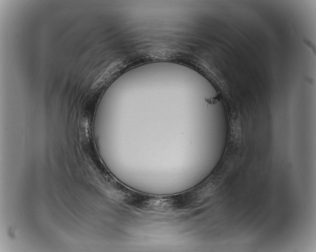 X0000102250117200808081419