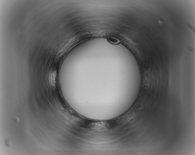 X0000102250118200808081419