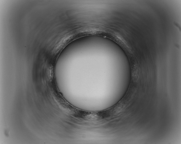 X0000102250119200808081419