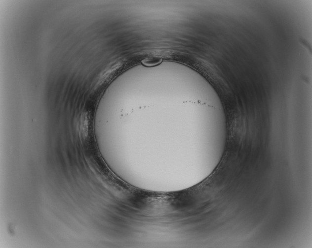 X0000102250120200808081419