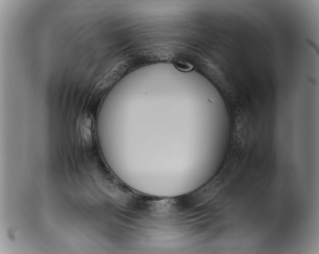 X0000102250122200808081419