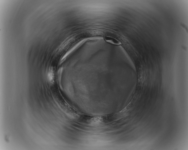 X0000102250124200808081419