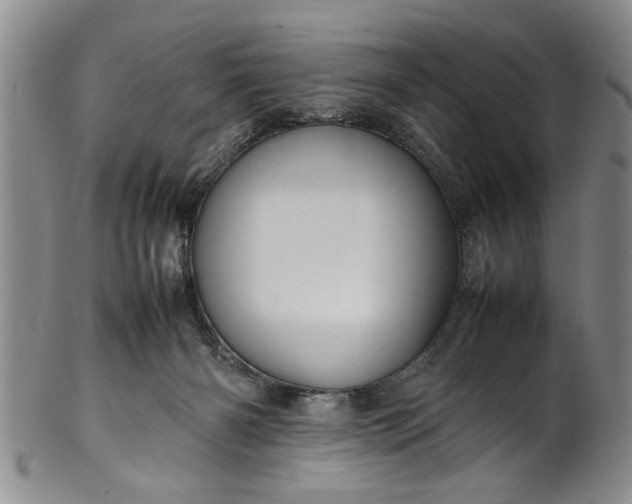 X0000102250126200808081419