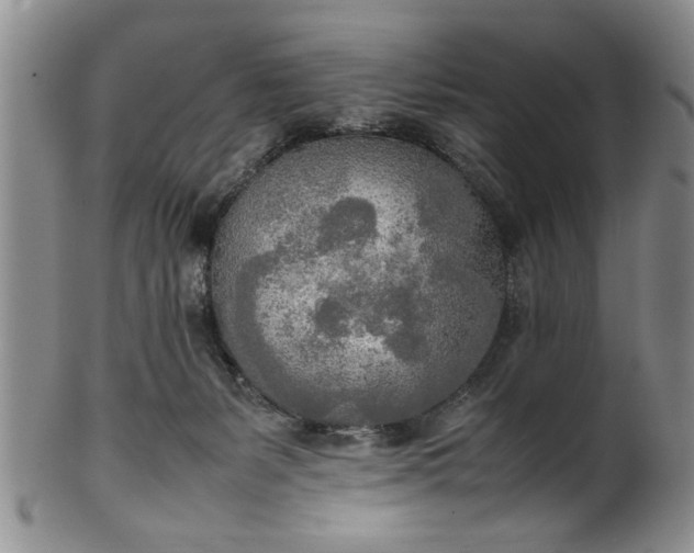 X0000102250127200808081419