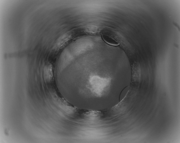 X0000102250128200808081419