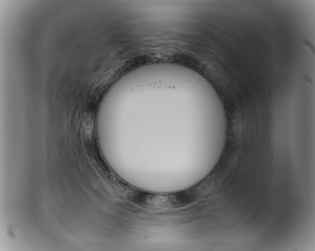 X0000102250129200808081419