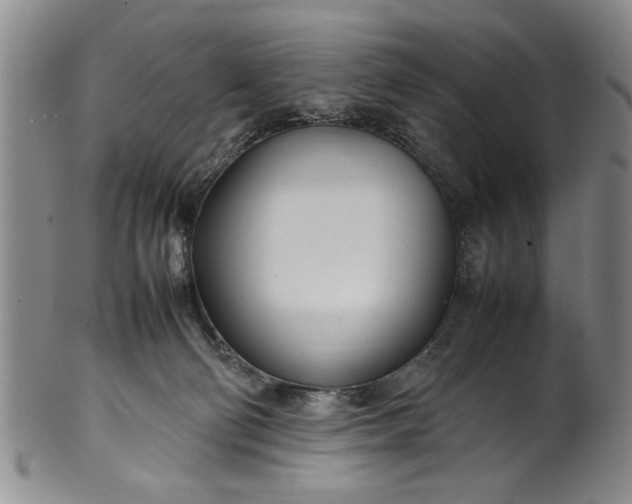 X0000102250130200808081419