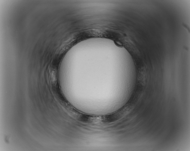 X0000102250131200808081419