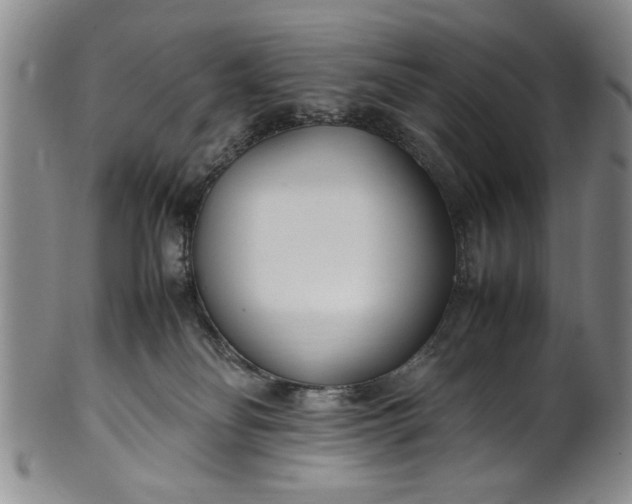 X0000102250134200808081419