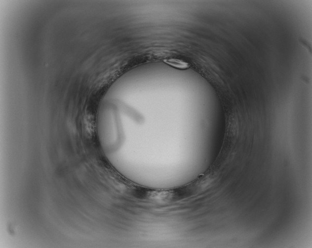 X0000102250135200808081419