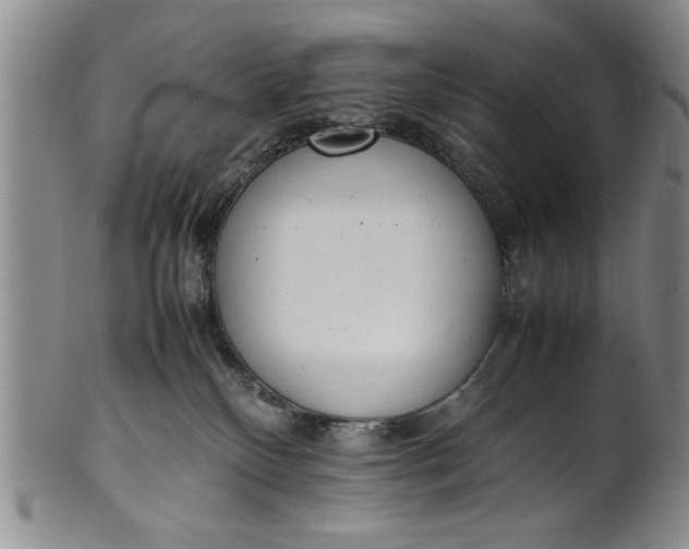 X0000102250136200808081419