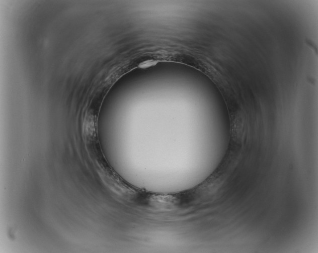 X0000102250137200808081419