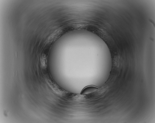 X0000102250138200808081419