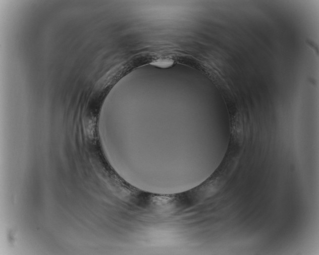 X0000102250139200808081419