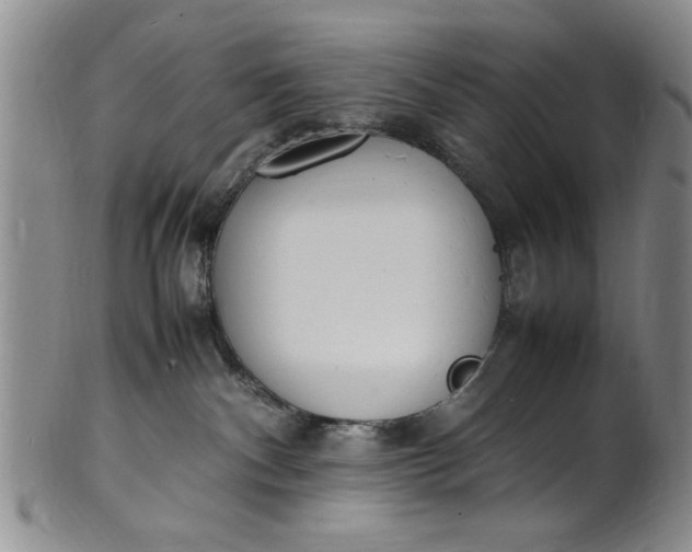 X0000102250140200808081419