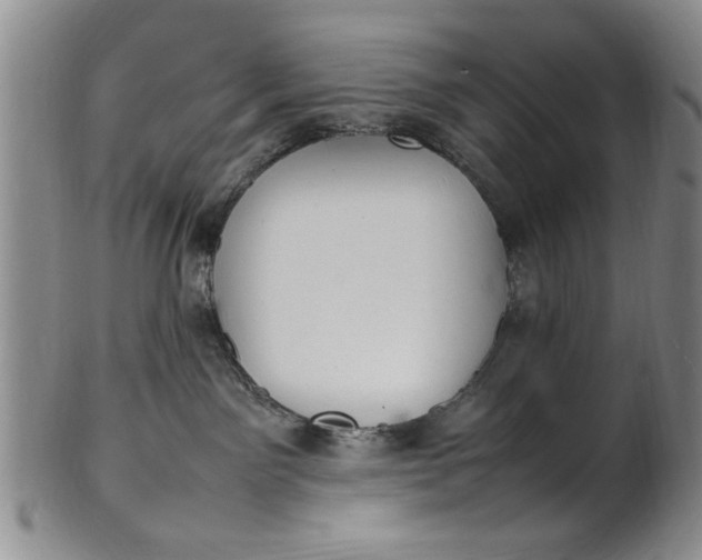 X0000102250141200808081419