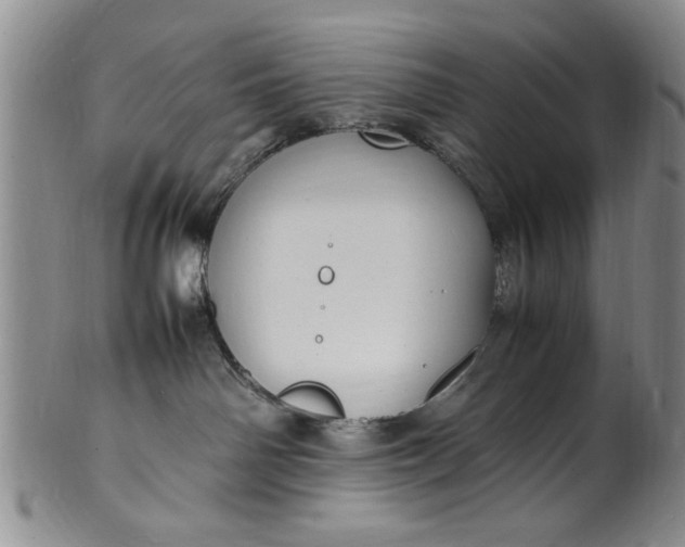 X0000102250142200808081419