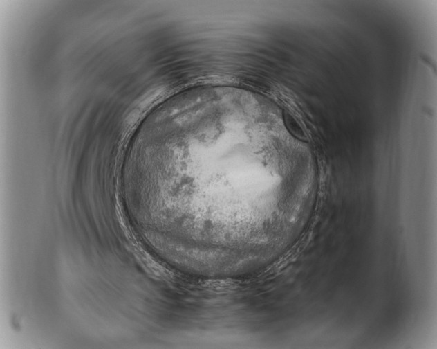 X0000102250145200808081418