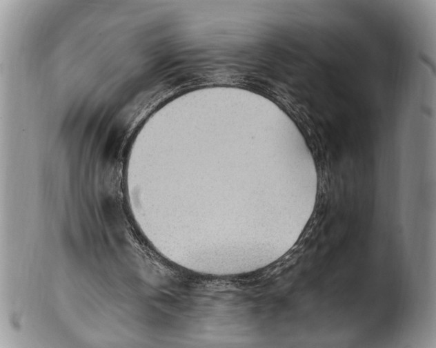 X0000102250146200808081418