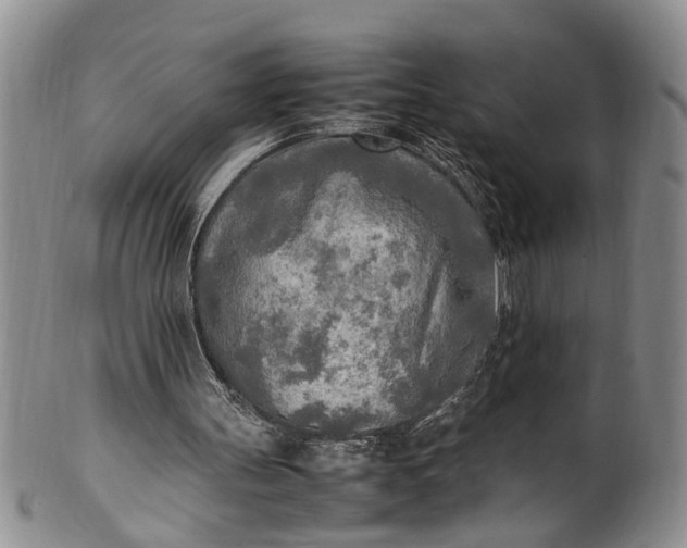 X0000102250147200808081418