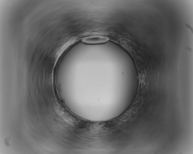 X0000102250148200808081418