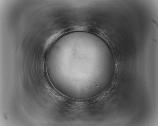 X0000102250149200808081418