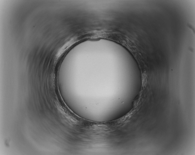 X0000102250150200808081418