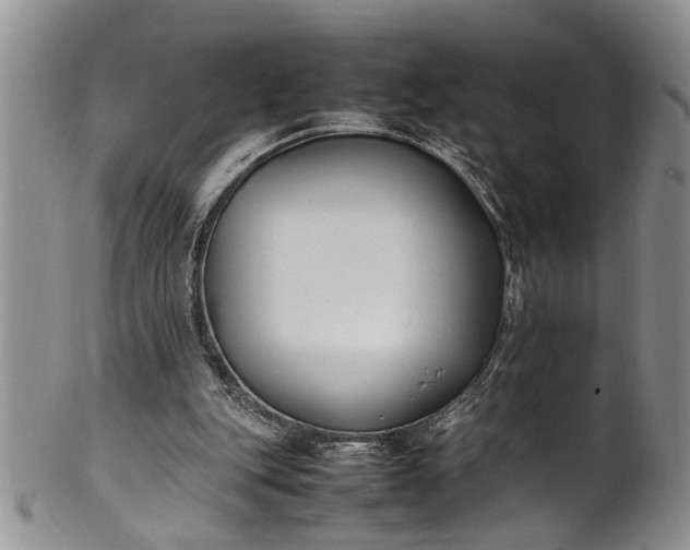 X0000102250151200808081418