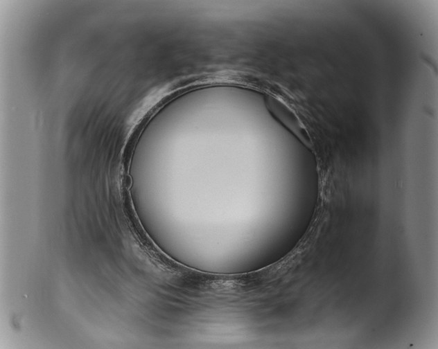 X0000102250152200808081418