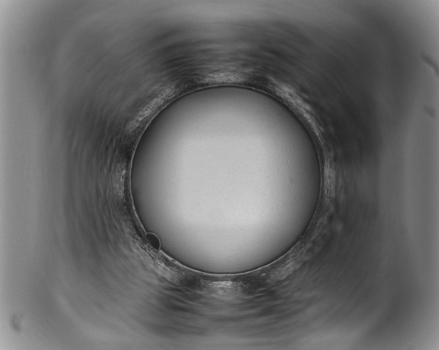 X0000102250153200808081418