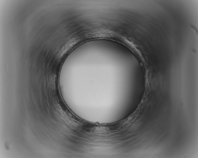 X0000102250154200808081418