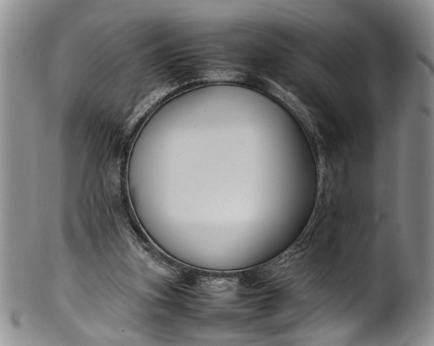 X0000102250155200808081418