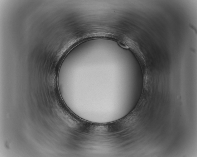 X0000102250156200808081418