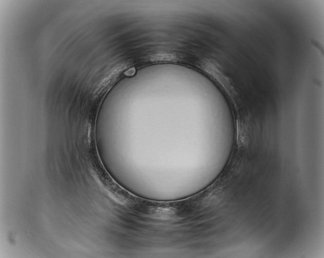 X0000102250157200808081418