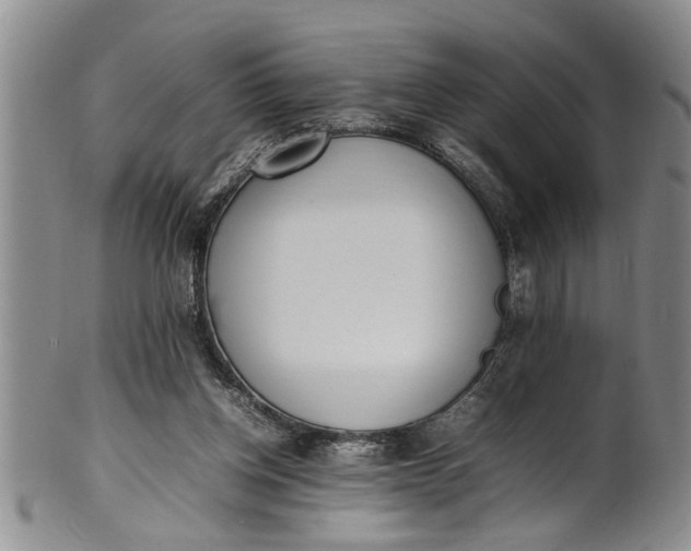 X0000102250158200808081418