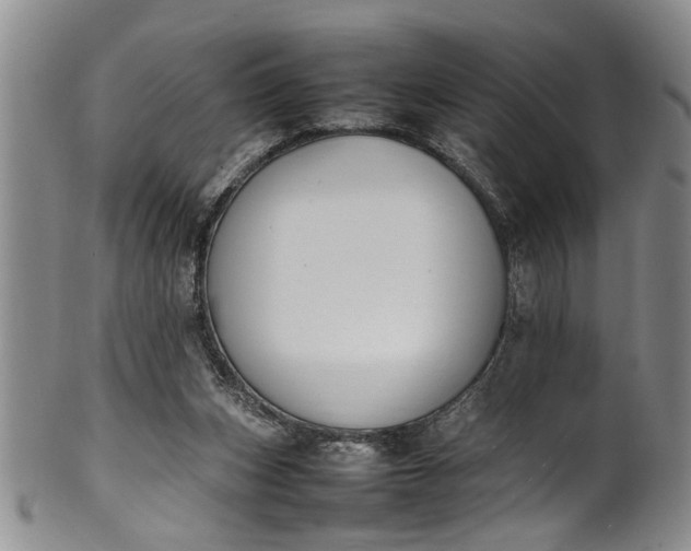 X0000102250159200808081418